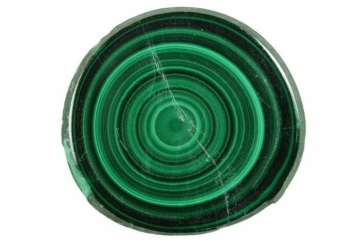 Bargain Polished Malachite Stalactite Slice - Congo #251850